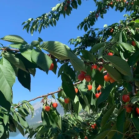 Сasa de vacaciones Il Giardino Incantato *