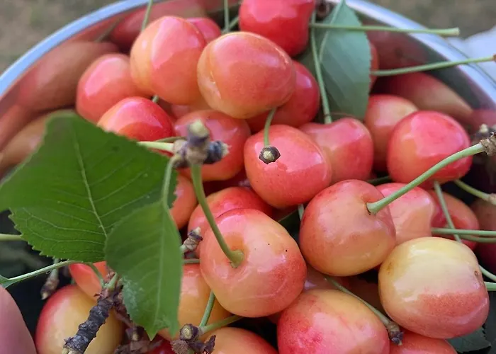Σπίτι διακοπών Il Giardino Incantato