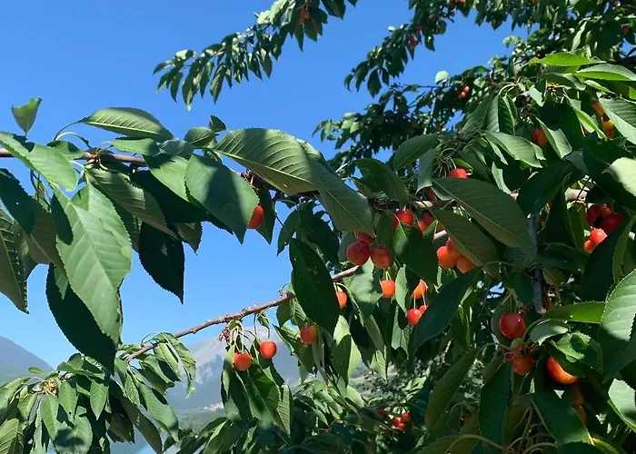 Дом отдыха Il Giardino Incantato *